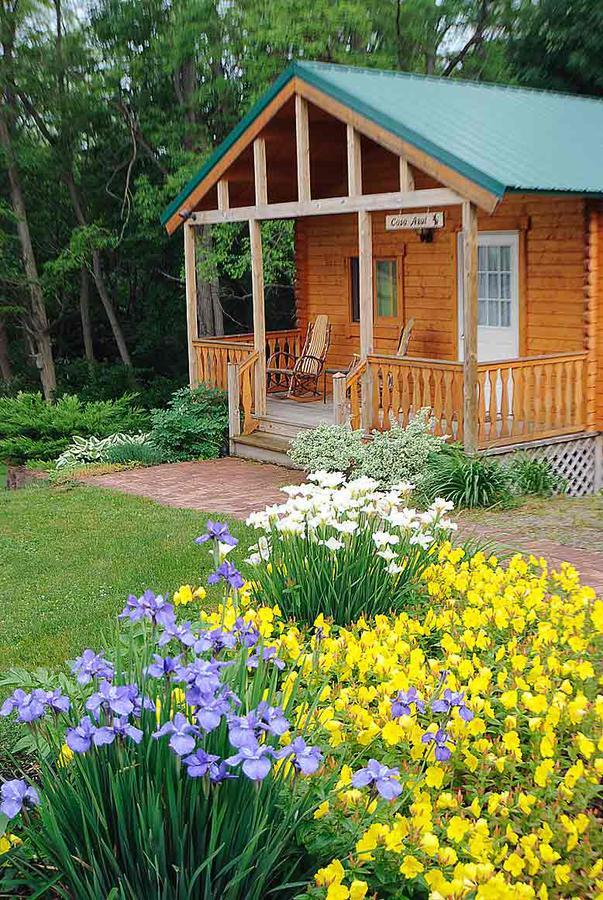 Los Gatos Bed & Breakfast Penn Yan Exterior photo